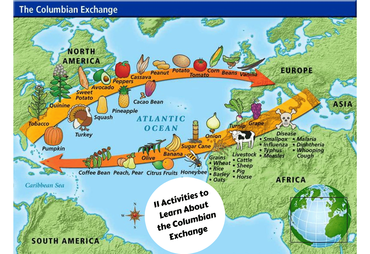 Columbian Exchange Reading Comprehension Worksheets