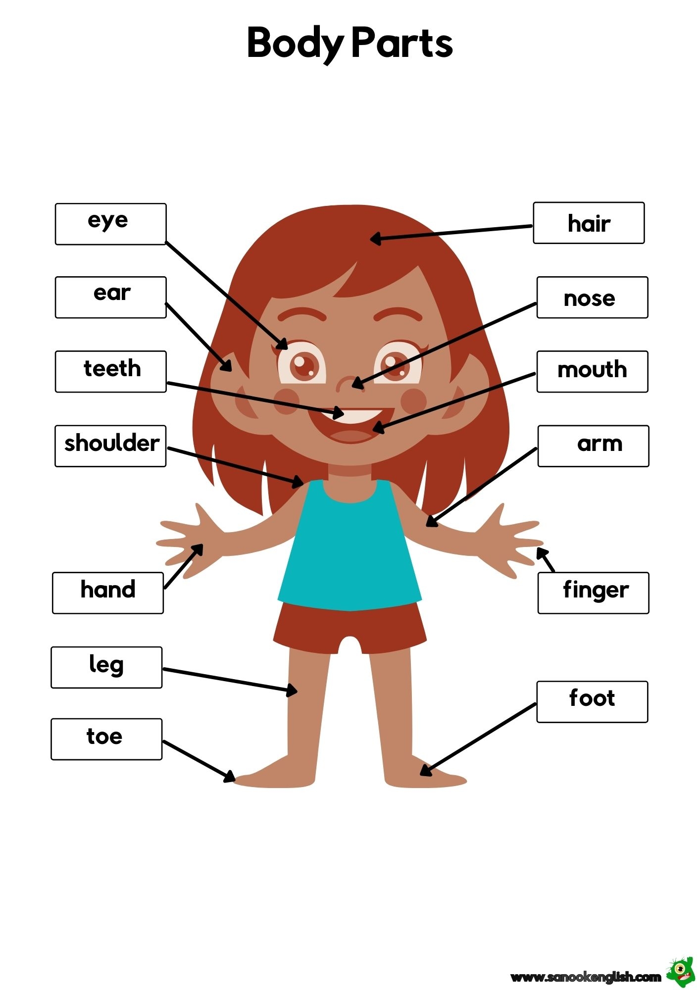 13 Names Of Body Parts For ESL Students With Fun Pictures 13 Names Of Body Parts For ESL Students With Fun Pictures