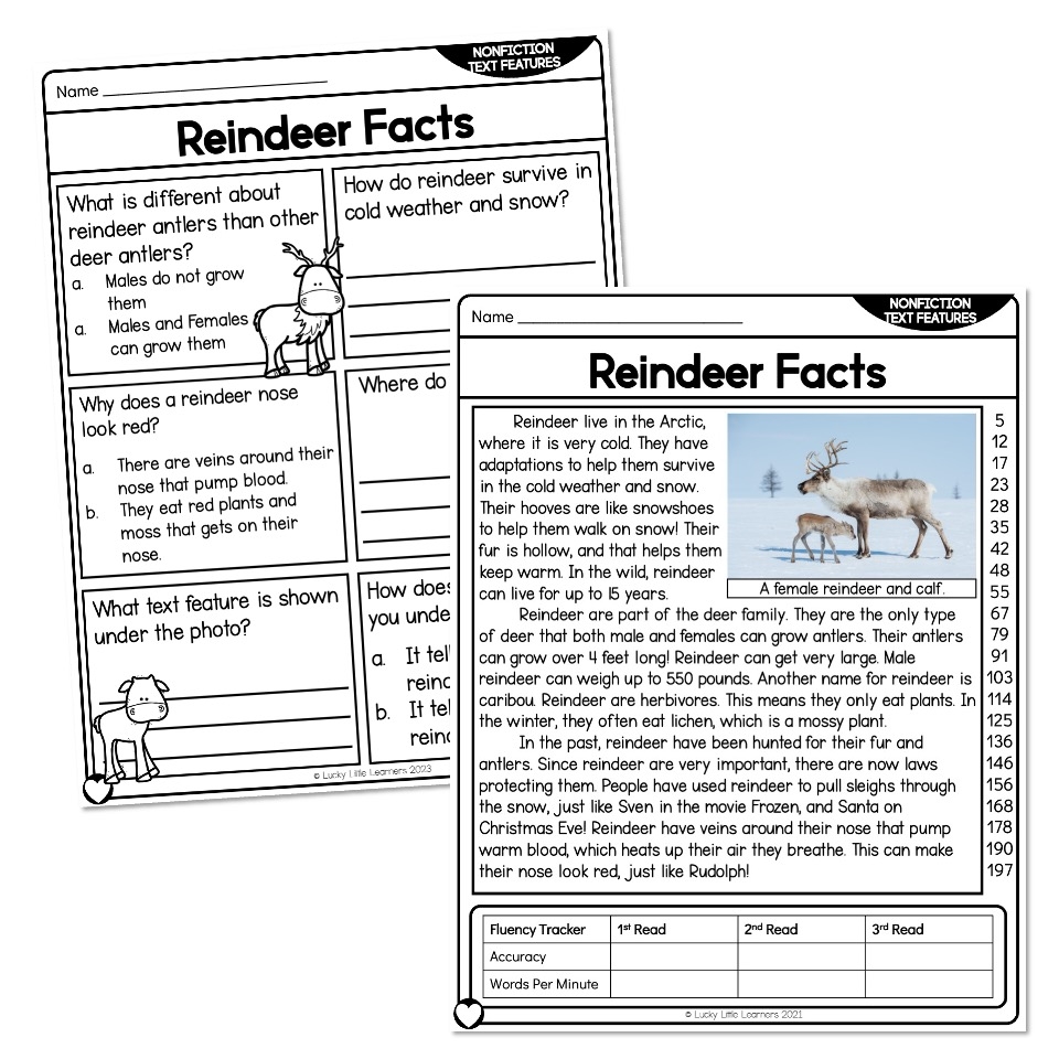 2nd Grade Reading Comprehension Passage Nonfiction Text Features Reindeer Facts Lucky Little Learners