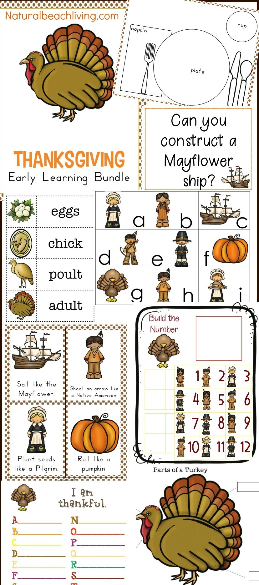 40 Best Fall Preschool Themes And Activities Natural Beach Living