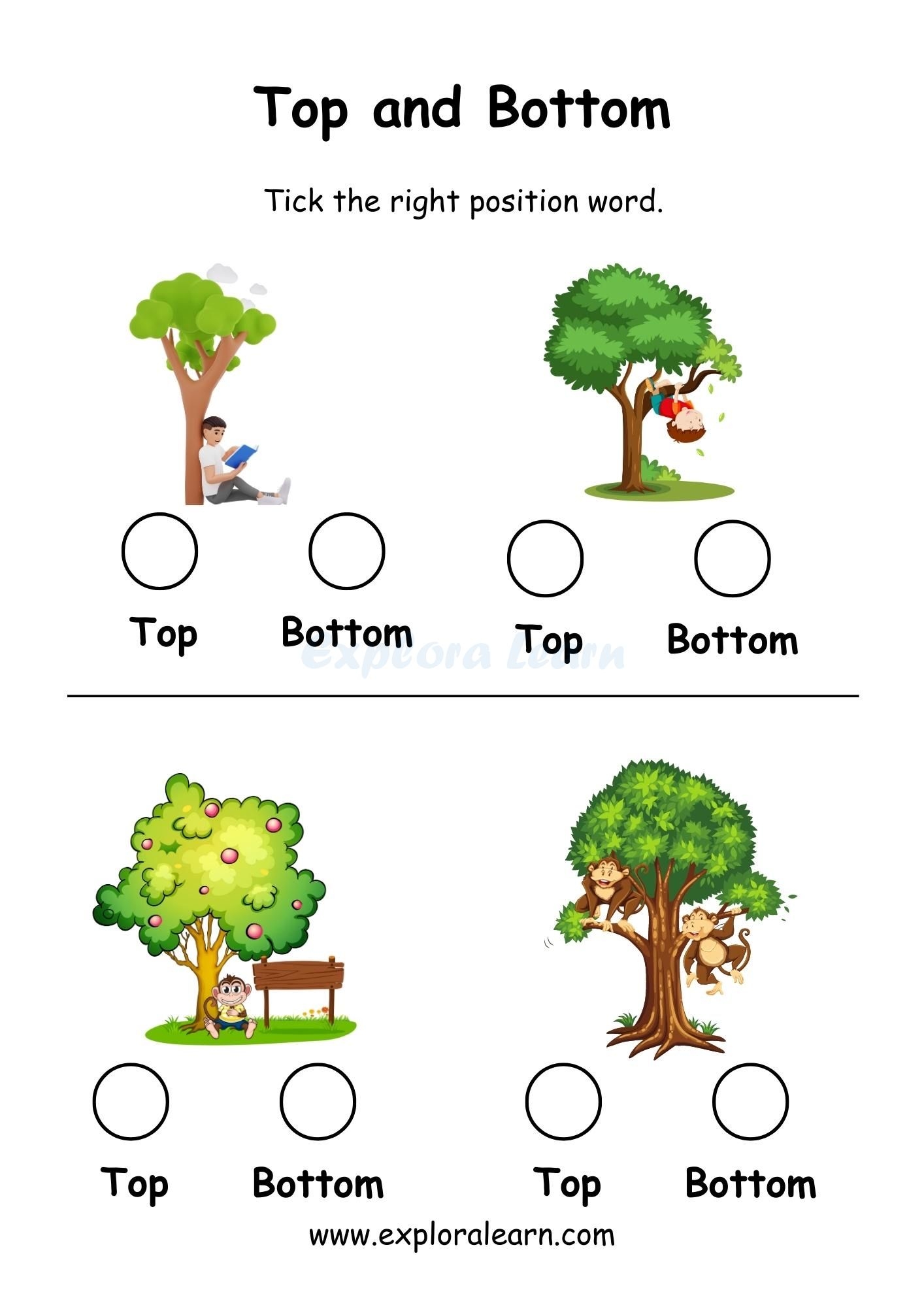 Above And Below Comparison Worksheets For Preschool And 
