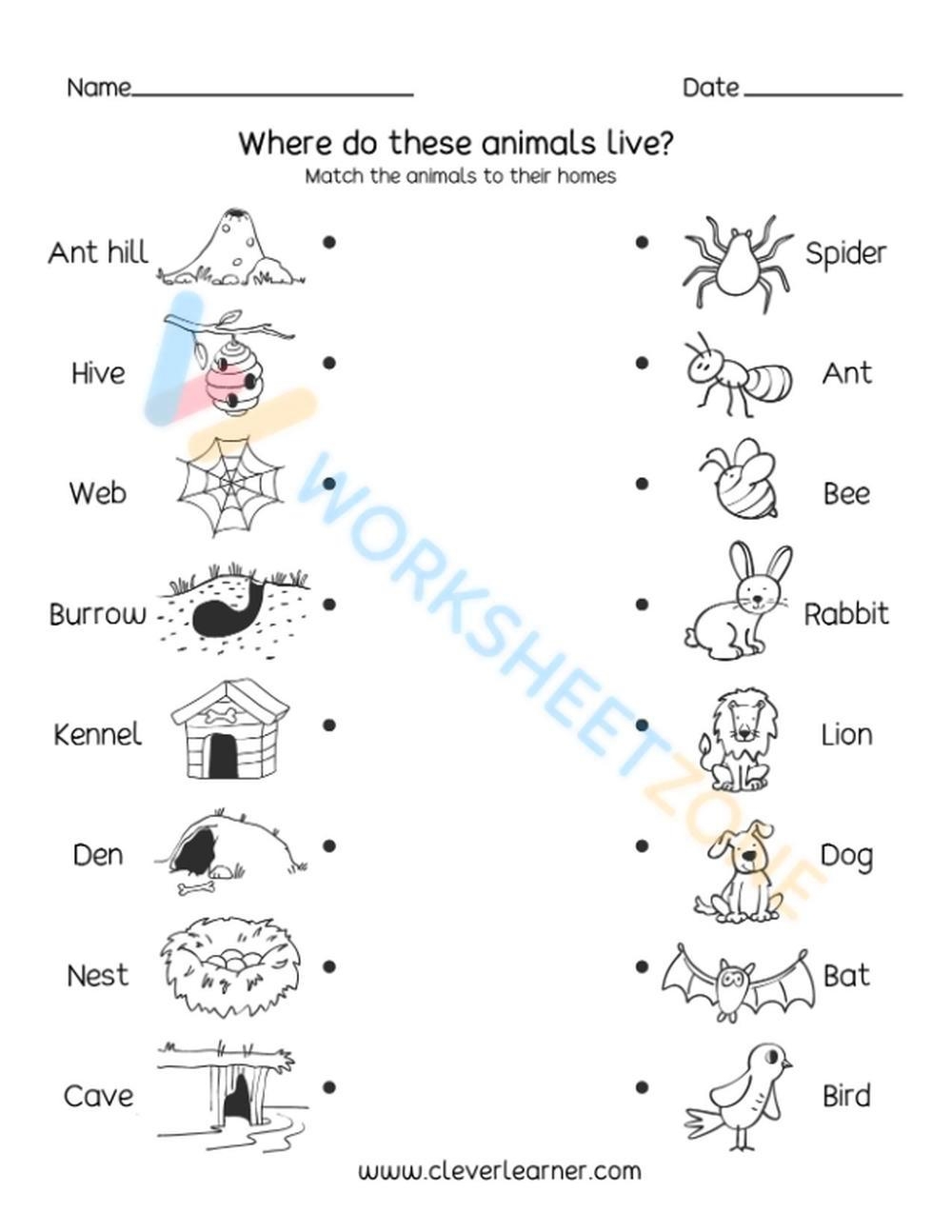 Free Printable Worksheets Animal Adaptations Free Printable Worksheets Animal Adaptations