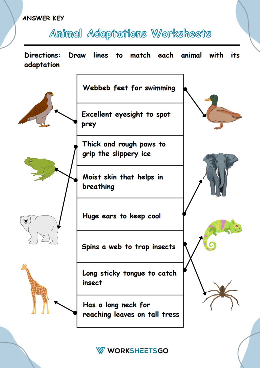 Animal Adaptations Worksheets WorksheetsGO Animal Adaptations Worksheets WorksheetsGO