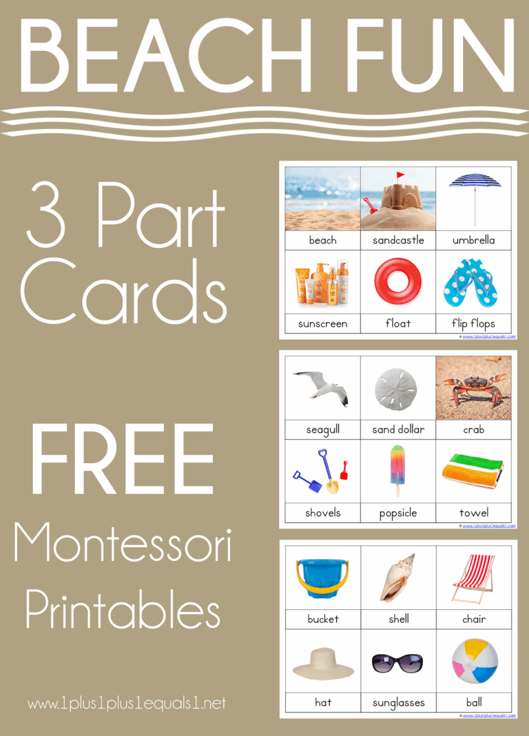 Beach Montessori Printables FREE 3 Part Cards 1 1 1u003d1