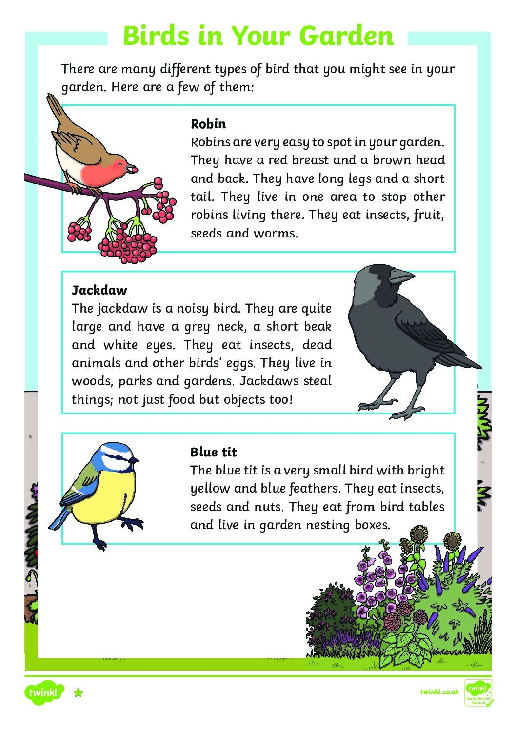 Birds In Your Garden Differentiated Reading Comprehension Activity St Cyprian s Greek Orthodox Primary Academy Birds In Your Garden Differentiated Reading Comprehension Activity St Cyprian s Greek Orthodox Primary Academy