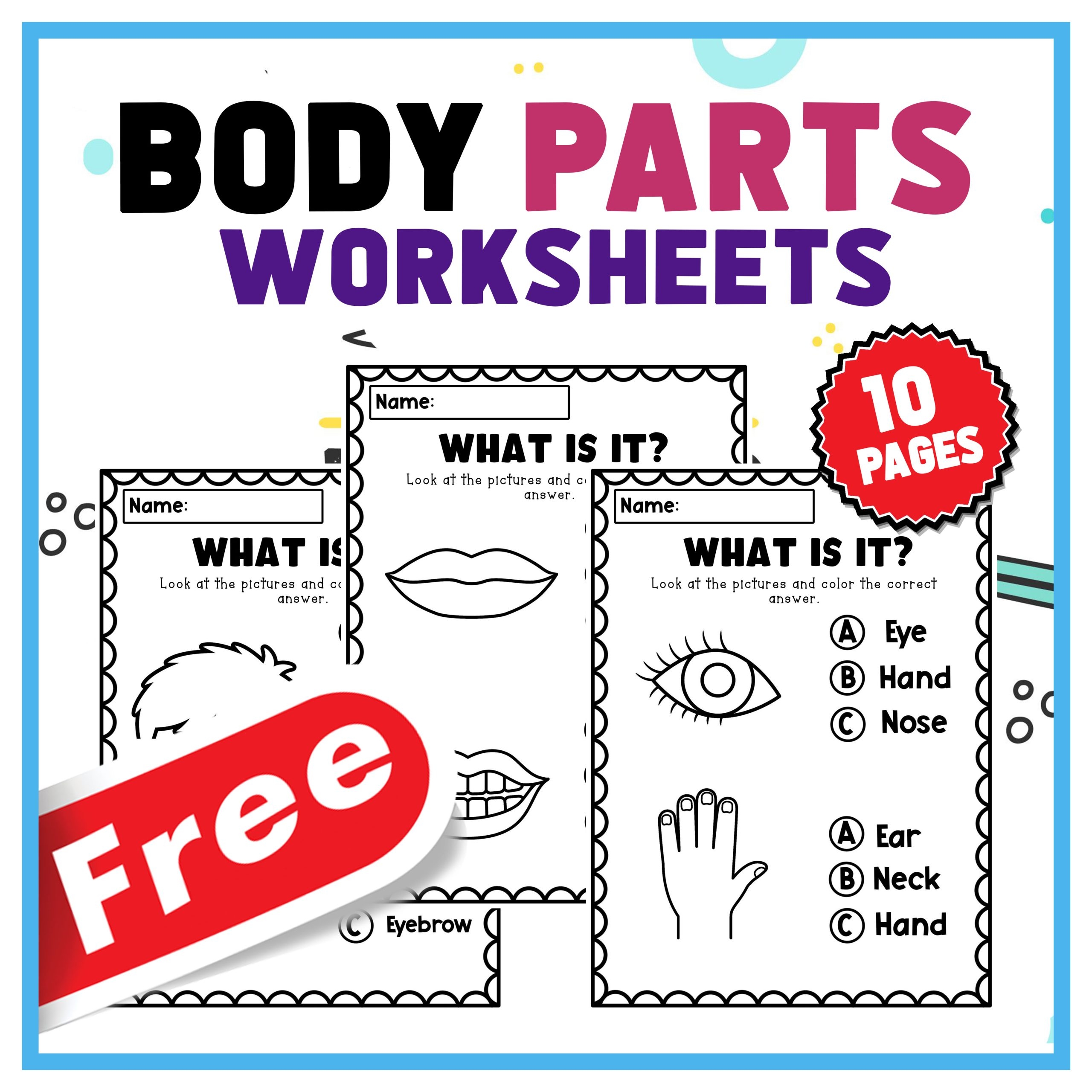 Free Kindergarten Body Parts Worksheet