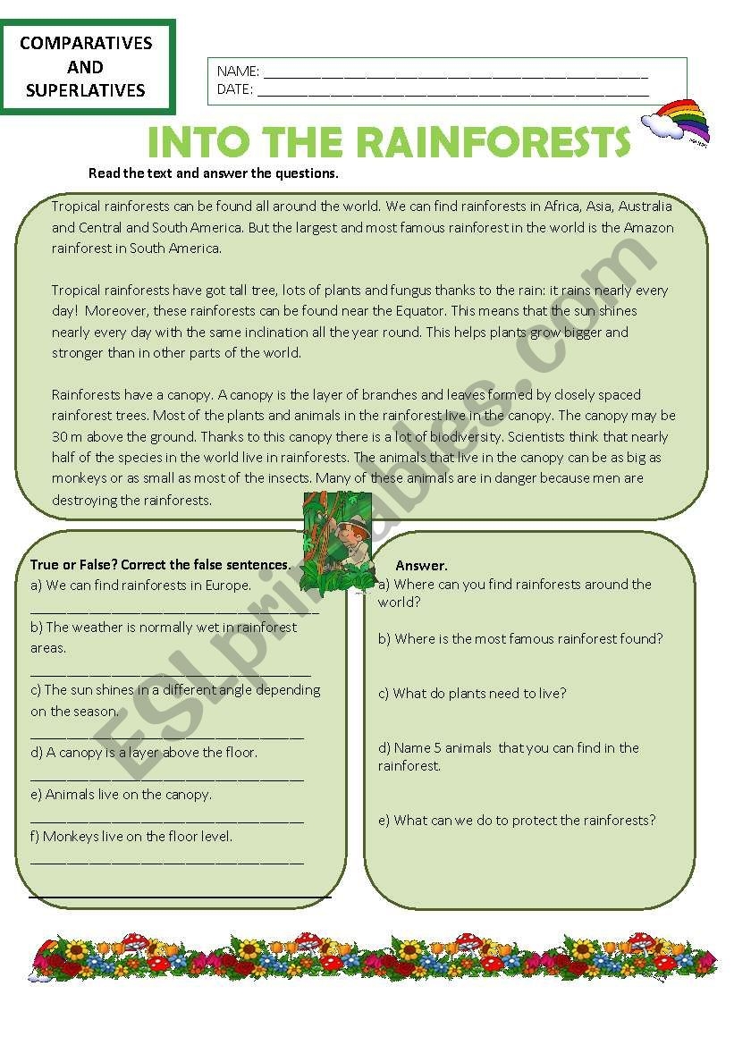 Comparing The Rainforest ESL Worksheet By Mallerenga