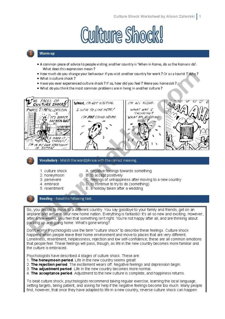 Culture Shock ESL Worksheet By Alisonz