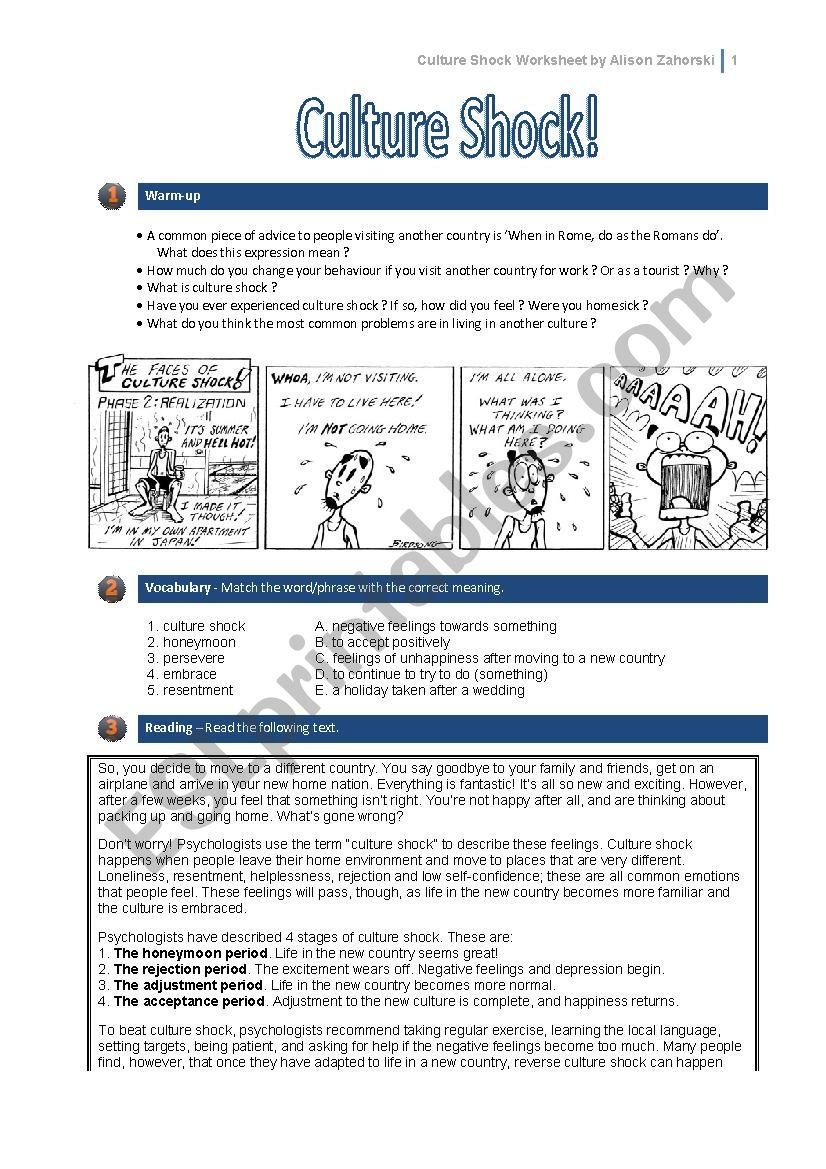 Culture Shock ESL Worksheet By Alisonz