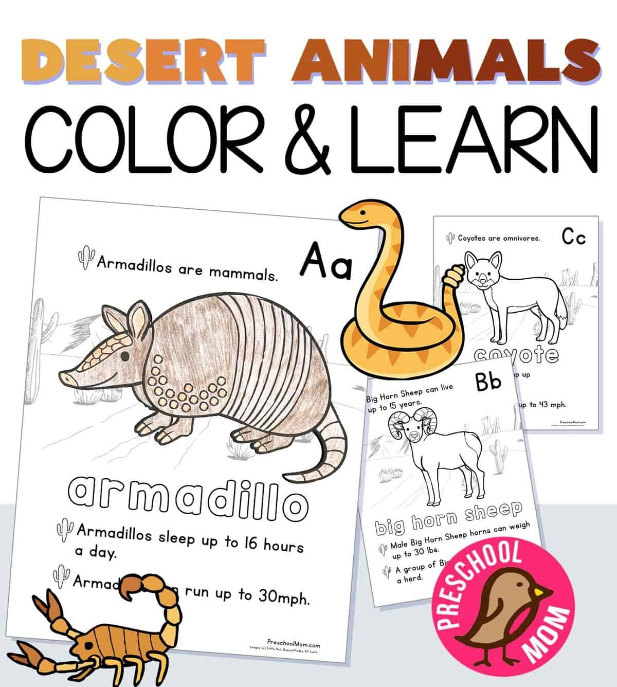 Desert Animal Coloring Pages Preschool Mom Desert Animal Coloring Pages Preschool Mom