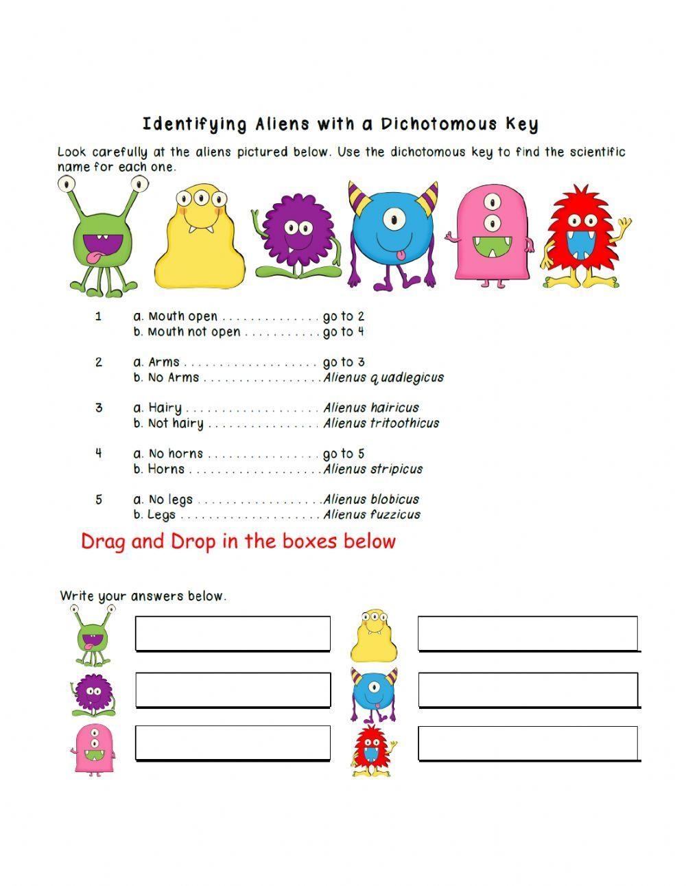 Dichotomous Key Practive Worksheet Live Worksheets Worksheets Library