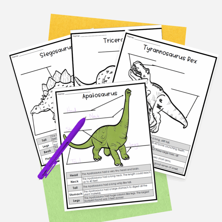 Dinosaur Reading Comprehension Having Fun First
