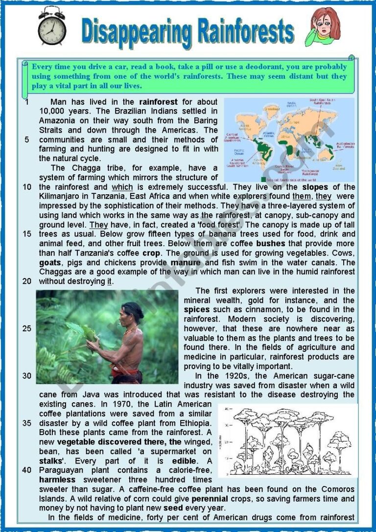 DISAPPEARING RAINFOREST Reading Varied Comprehension Ex Key And Teacher s Extras ESL Worksheet By Karagozian