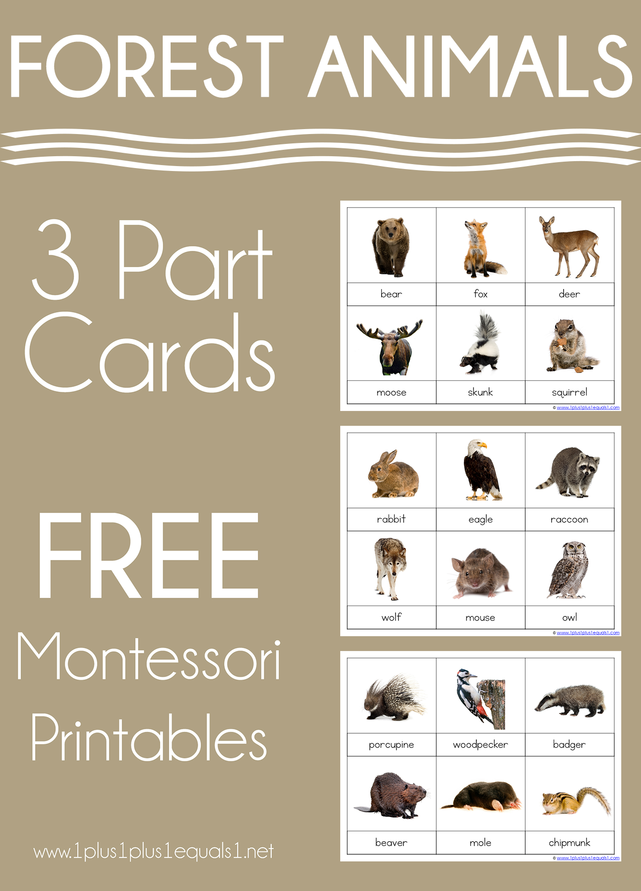 Forest Animals Montessori Printables FREE 3 Part Cards 1 1 1u003d1 Forest Animals Montessori Printables FREE 3 Part Cards 1 1 1u003d1