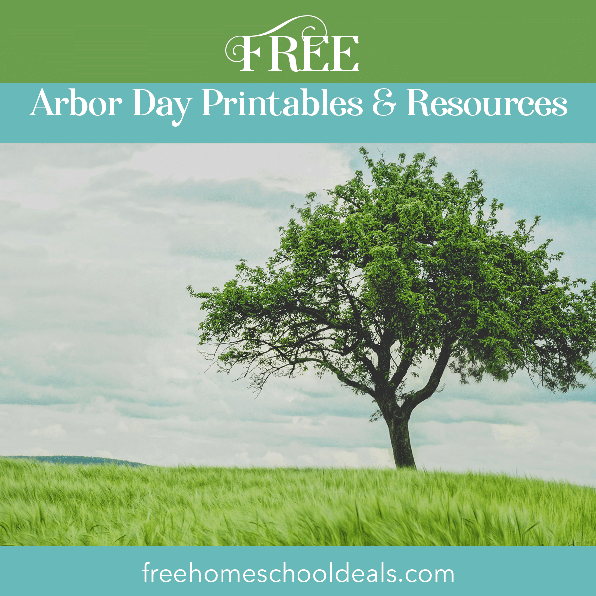 FREE Arbor Day Printables U0026 Resources Free Homeschool Deals FREE Arbor Day Printables U0026 Resources Free Homeschool Deals
