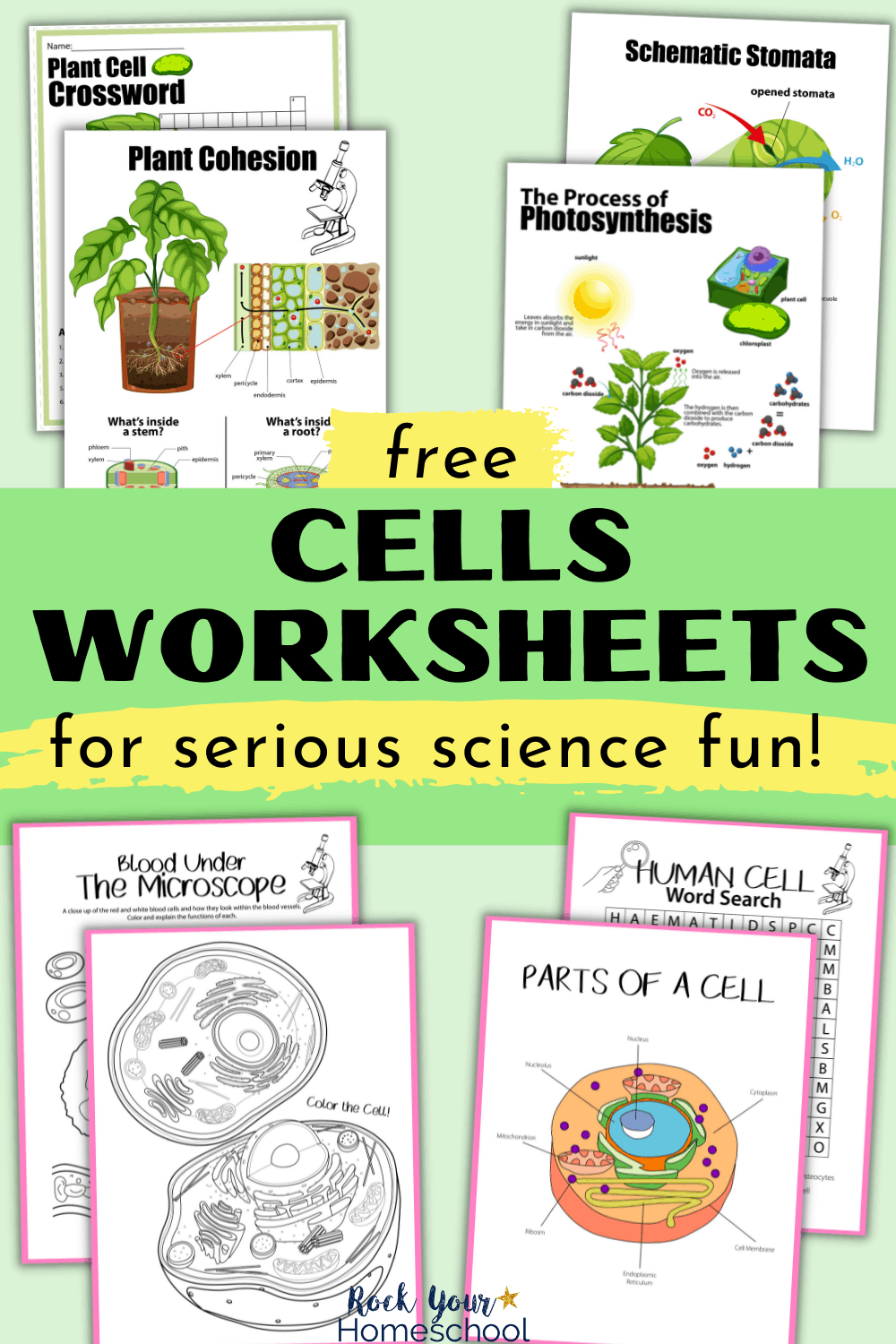 Free Printable Biology 101 College Worksheet