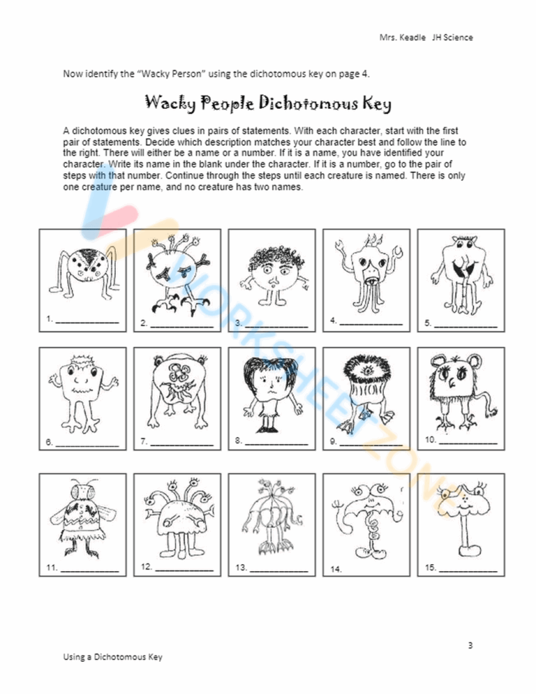 Free Printable Dichotomous Key Worksheet Collection Worksheets Library