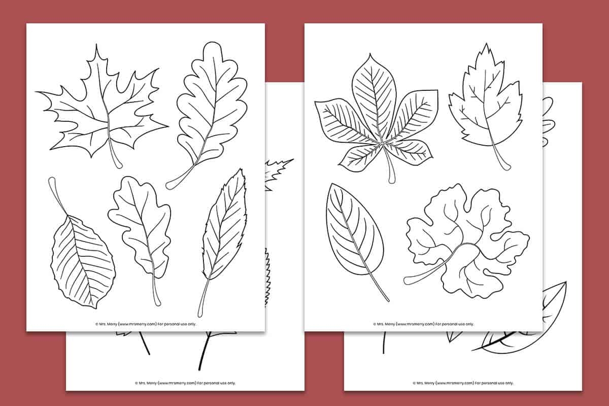 Free Leaf Printables For Preschoolers