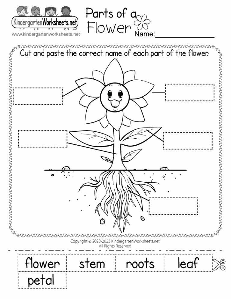 Free Printable Parts Of A Flower Worksheet