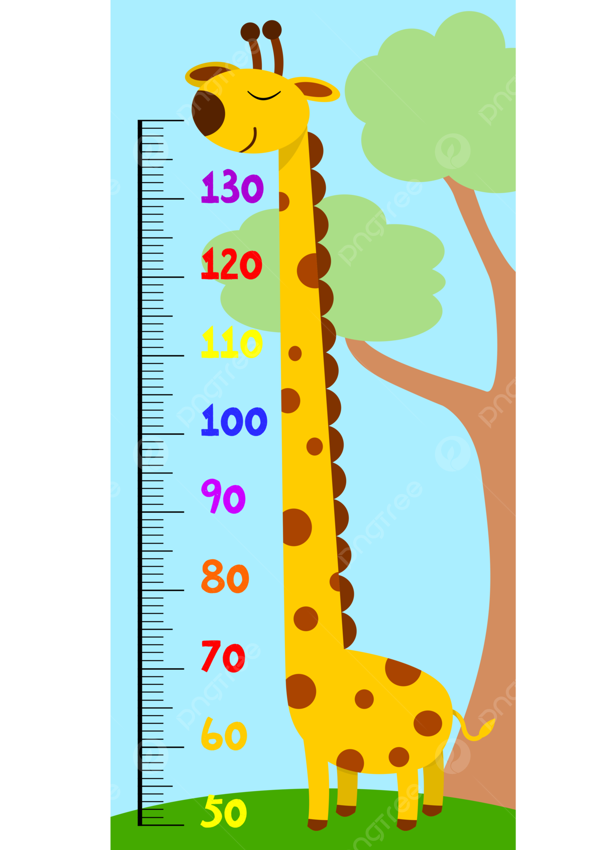 Height Chart PNG Transparent Images Free Download Vector Files Pngtree