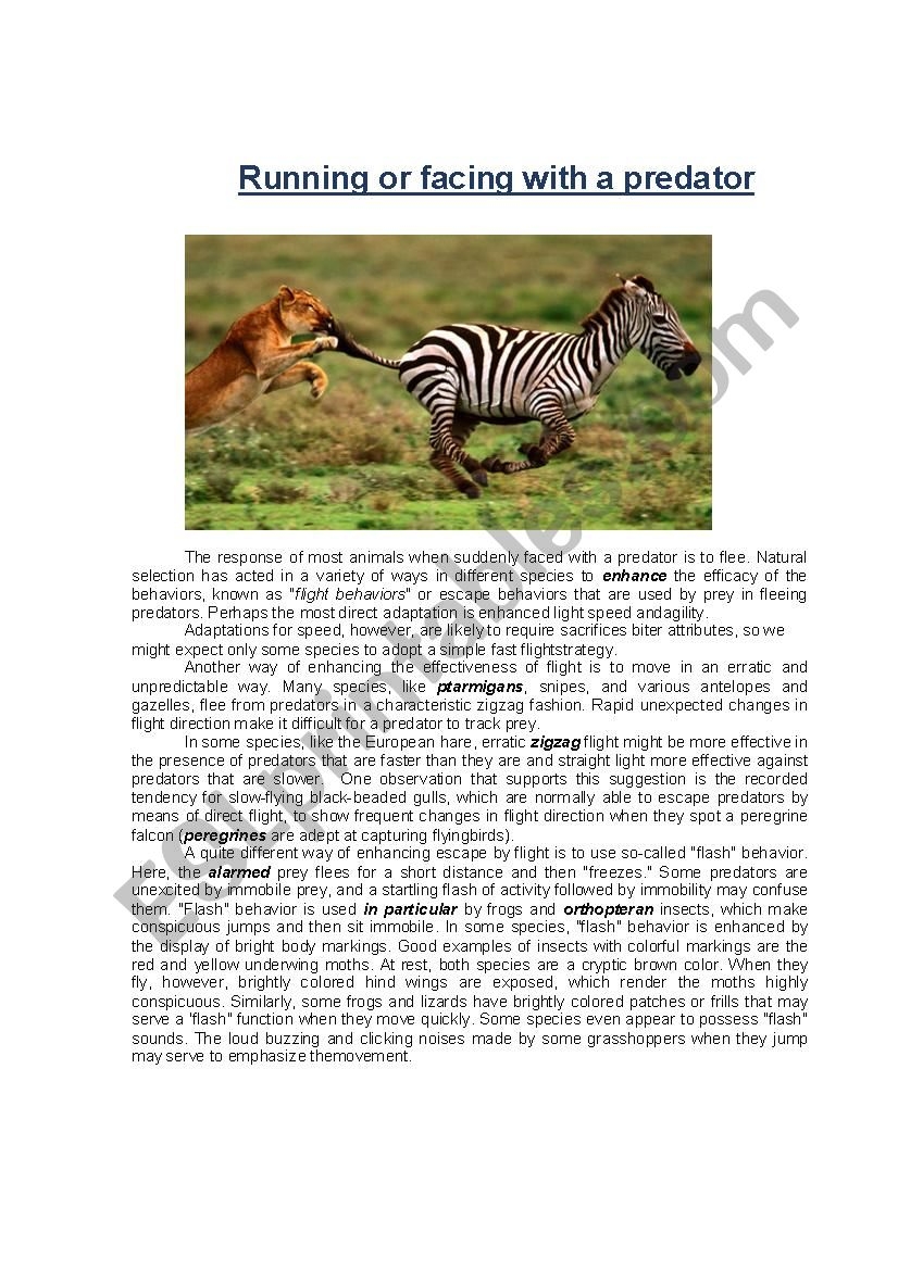 Ielts Reading Comprehension ESL Worksheet By Tiny1111