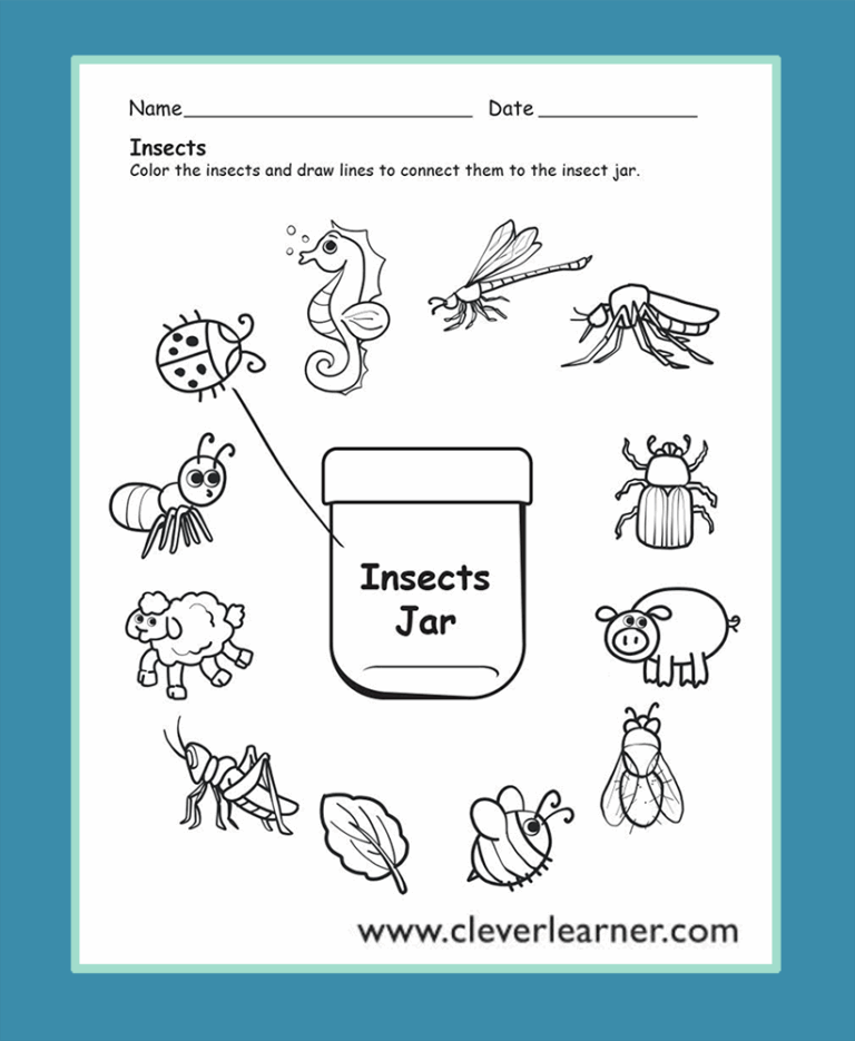 Insects Preschool Worksheets Insects Preschool Preschool