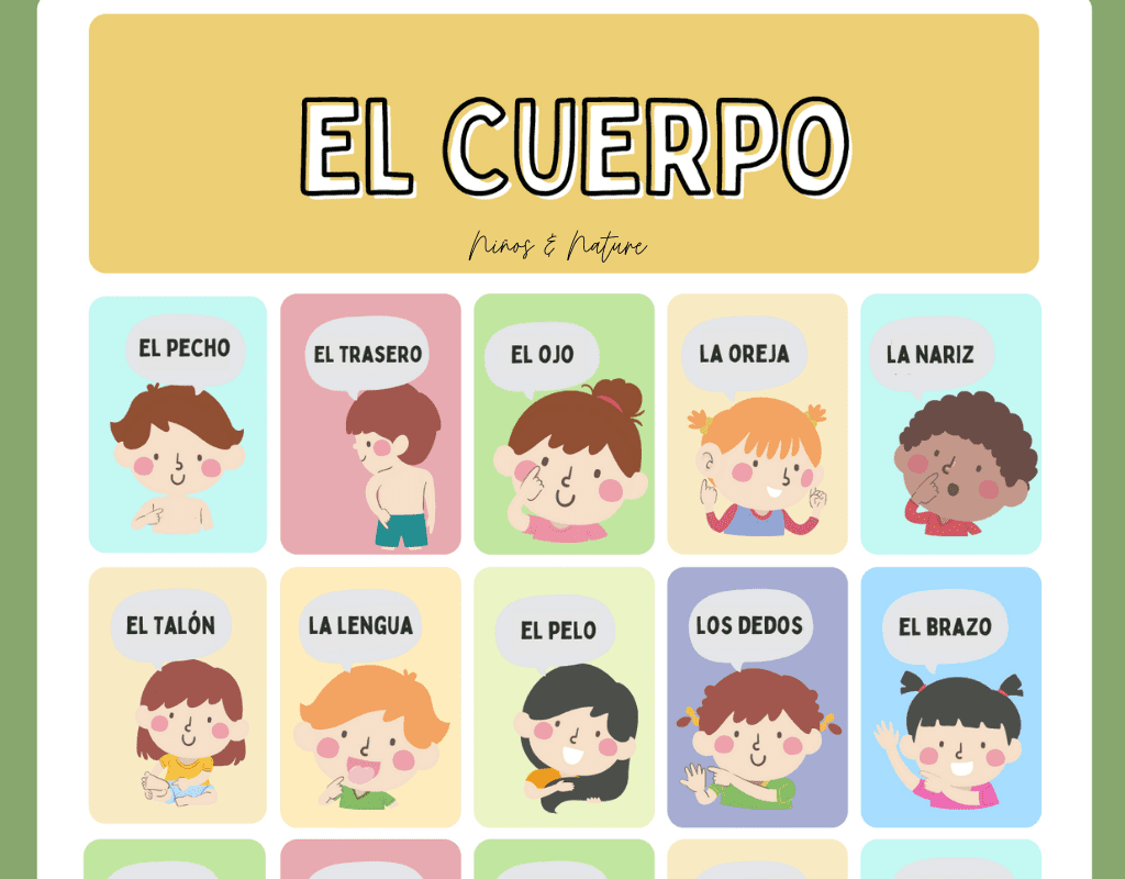 Learn The Body Parts In Spanish Free Spanish Worksheets Ni os U0026 Nature