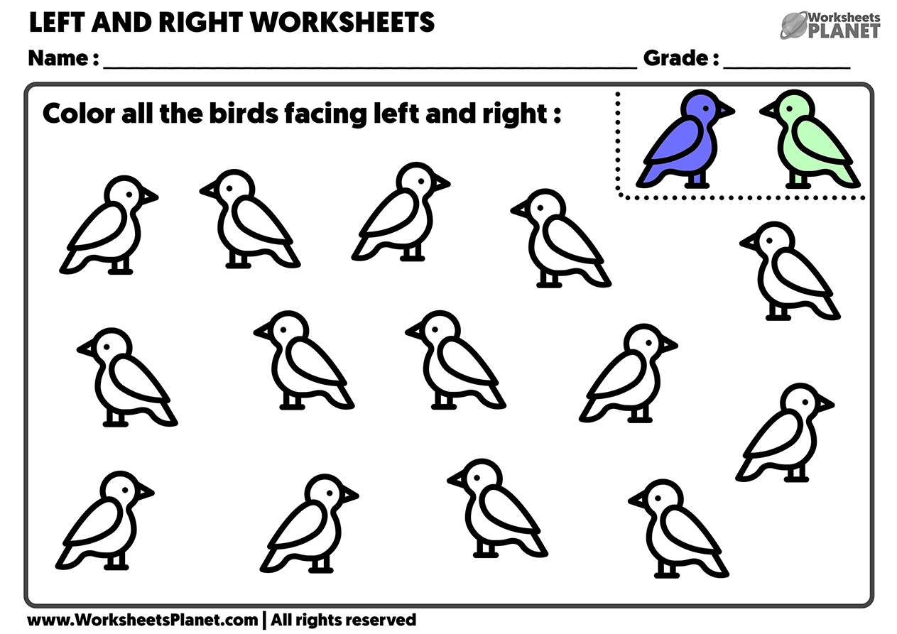 LEFT And RIGHT Worksheets For Kindergarten Ready To Print