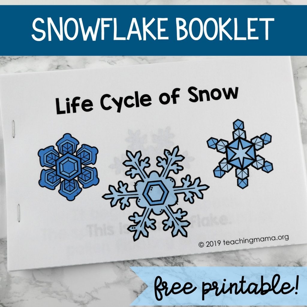 Life Cycle Of Snowflakes Booklet Life Cycle Of Snowflakes Booklet