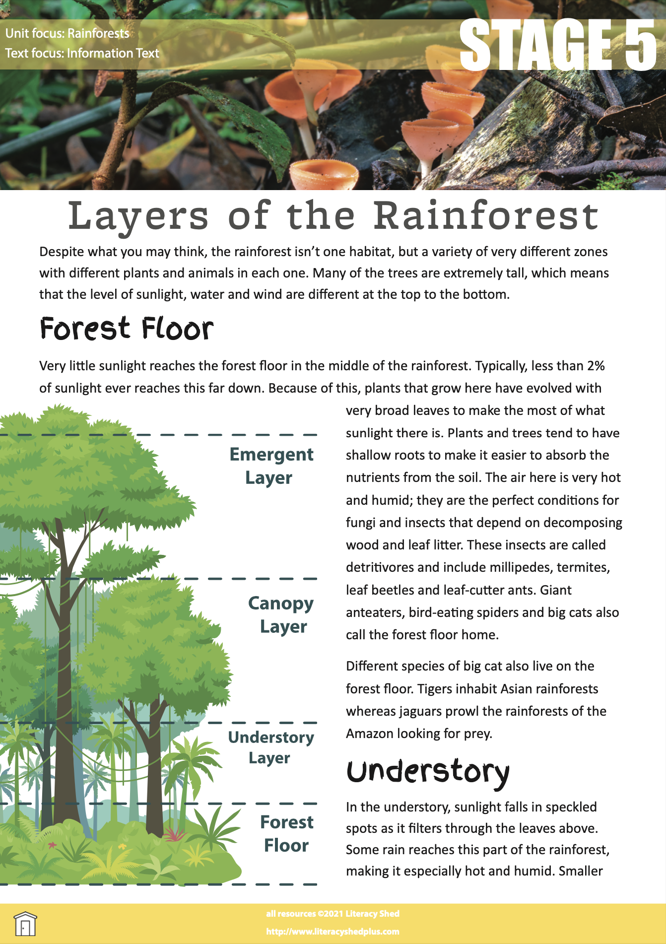 Literacy Shed Plus Rainforests