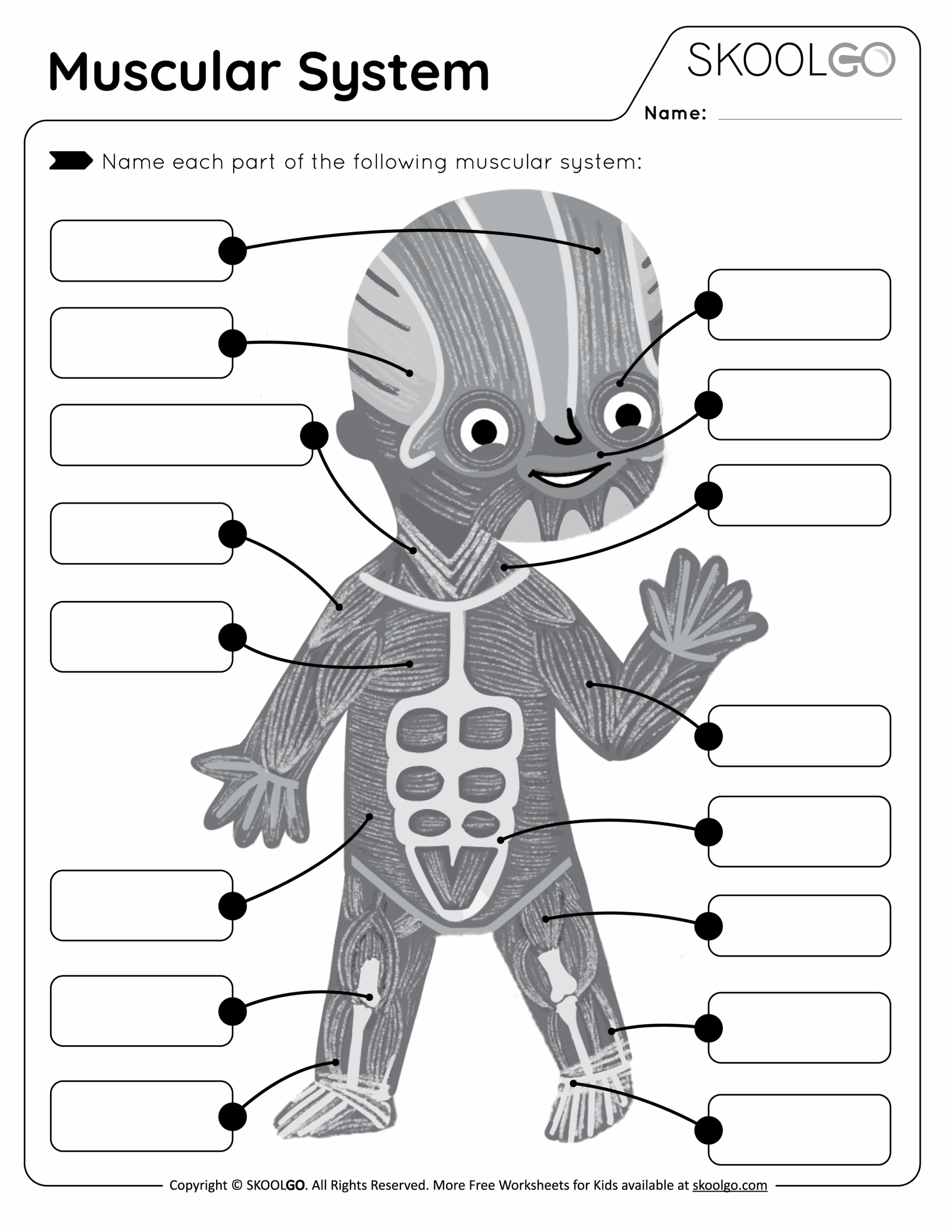 Muscular System Free Worksheet For Kids SKOOLGO Muscular System Free Worksheet For Kids SKOOLGO