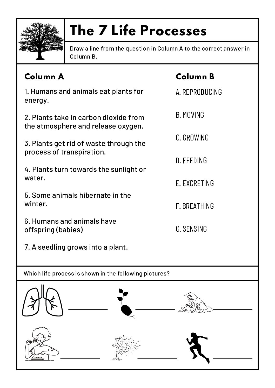 Natural Sciences U0026 Technology Grade 4 Worksheets Teacha Worksheets Library Natural Sciences U0026 Technology Grade 4 Worksheets Teacha Worksheets Library