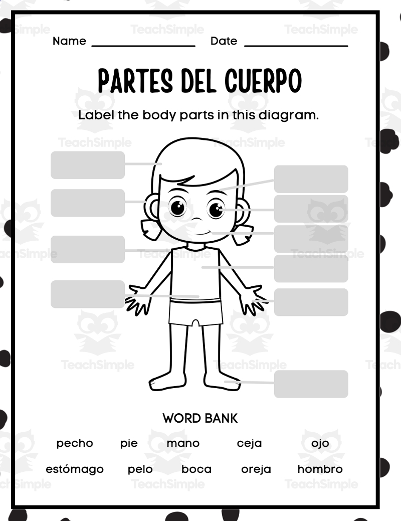 Partes Del Cuerpo parts Of The Body Spanish
