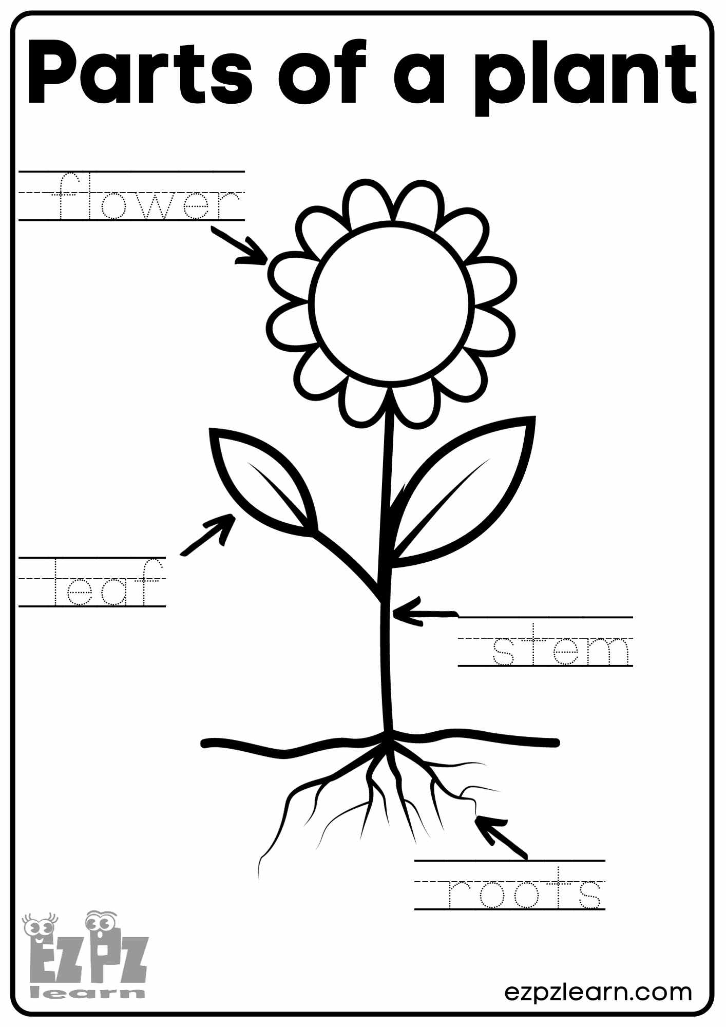 Parts Of A Plant Vocabulary Worksheet Write The Words And Color 