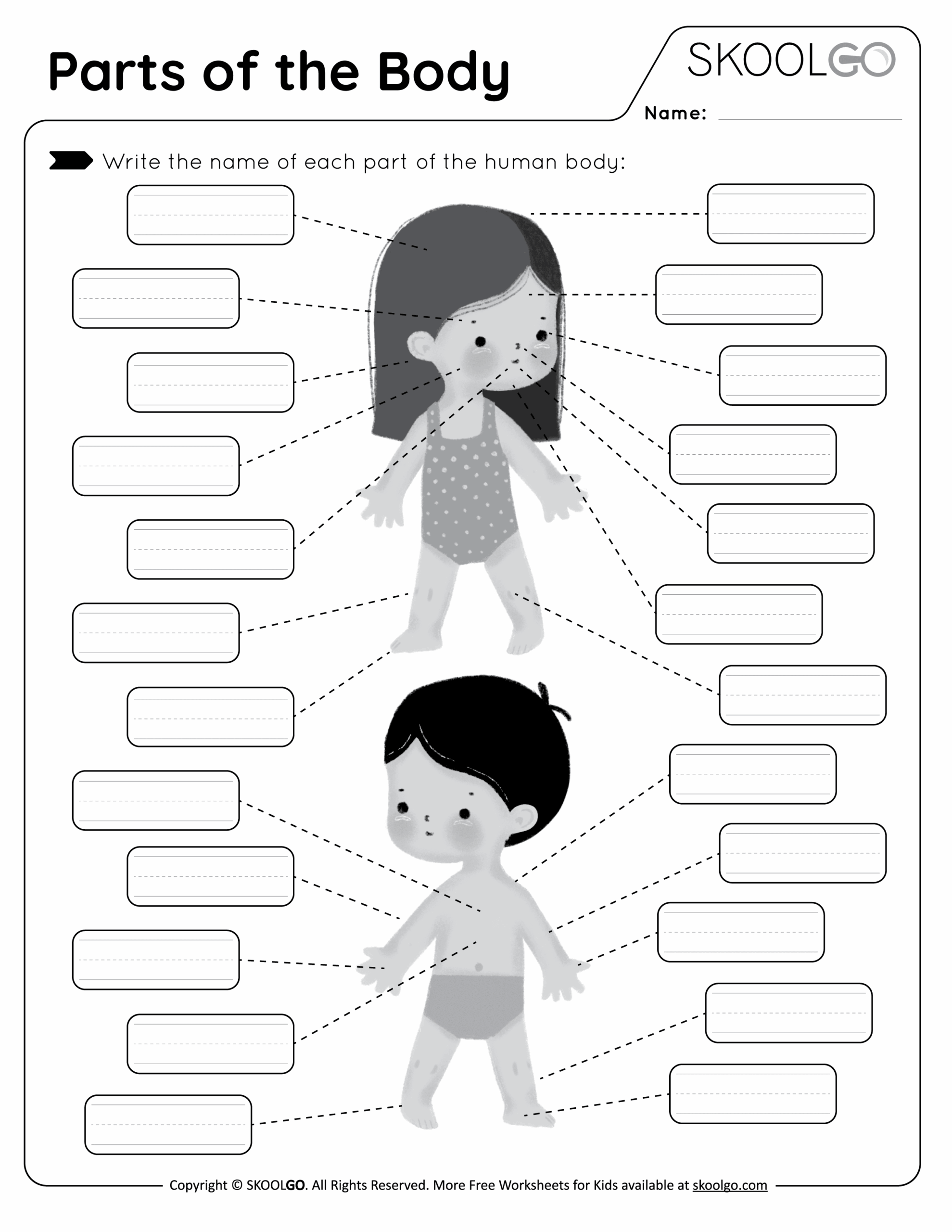 Parts Of The Body Free Worksheet SKOOLGO