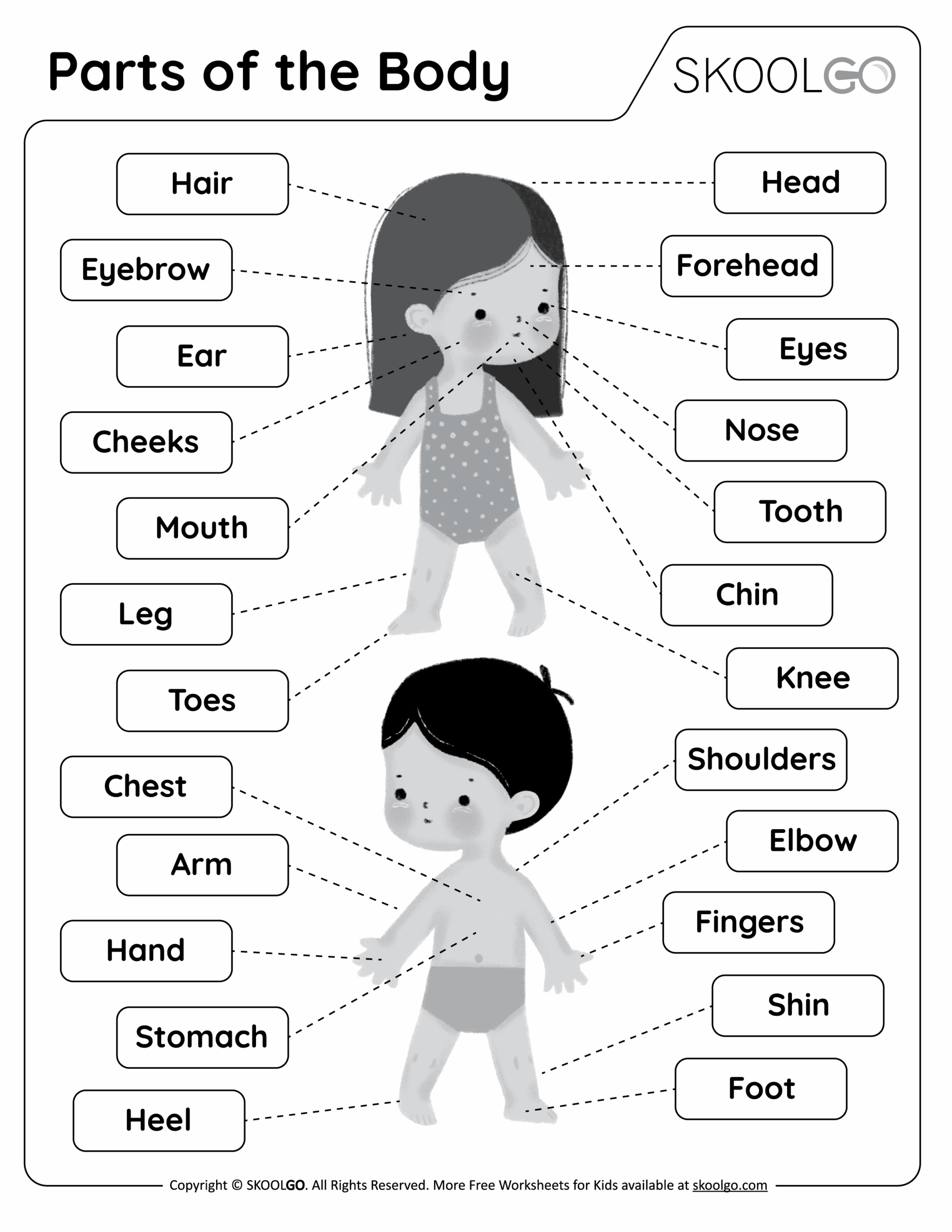 Parts Of The Body Free Worksheet SKOOLGO Parts Of The Body Free Worksheet SKOOLGO