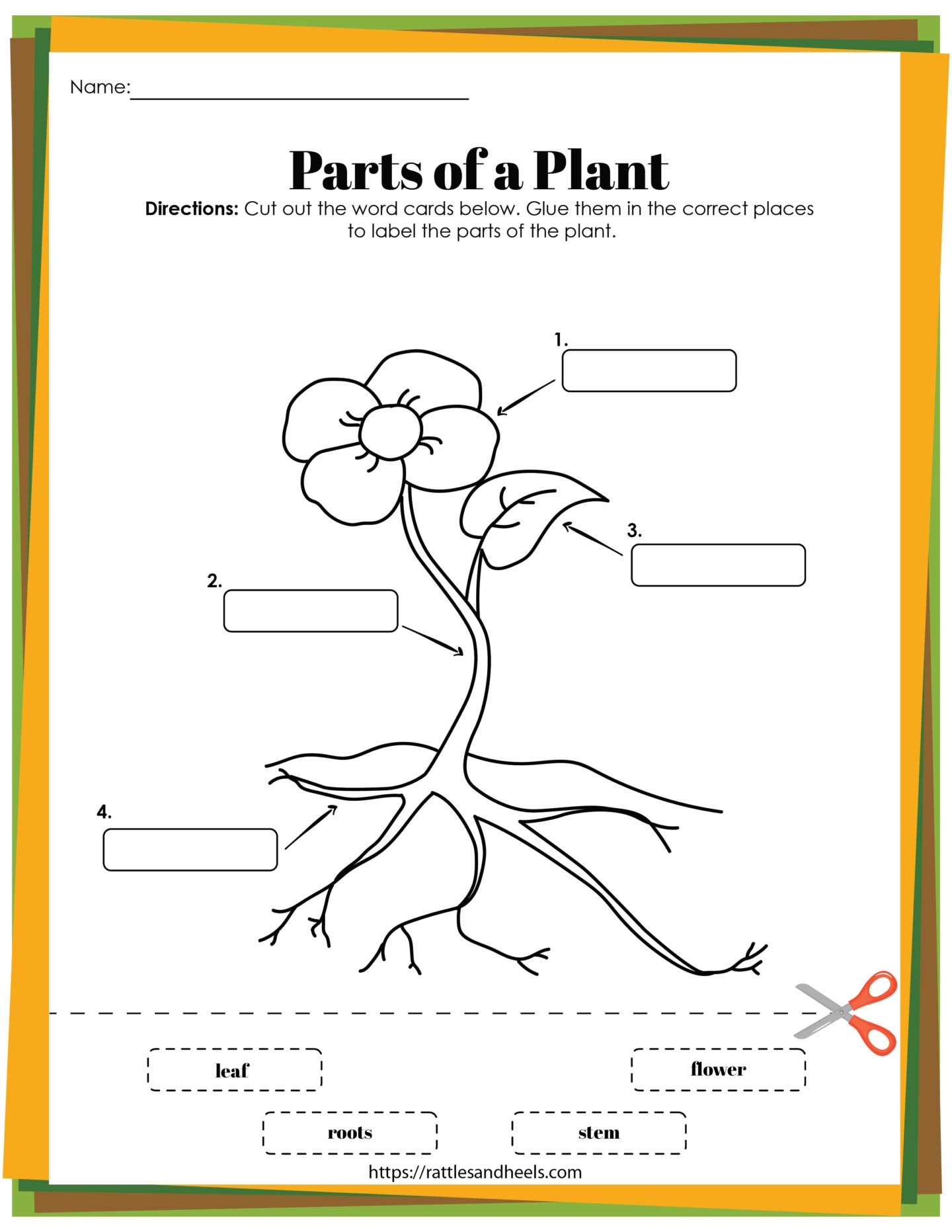 Plant Life Cycle Worksheets Free Printables For Kids Adanna Dill Plant Life Cycle Worksheets Free Printables For Kids Adanna Dill