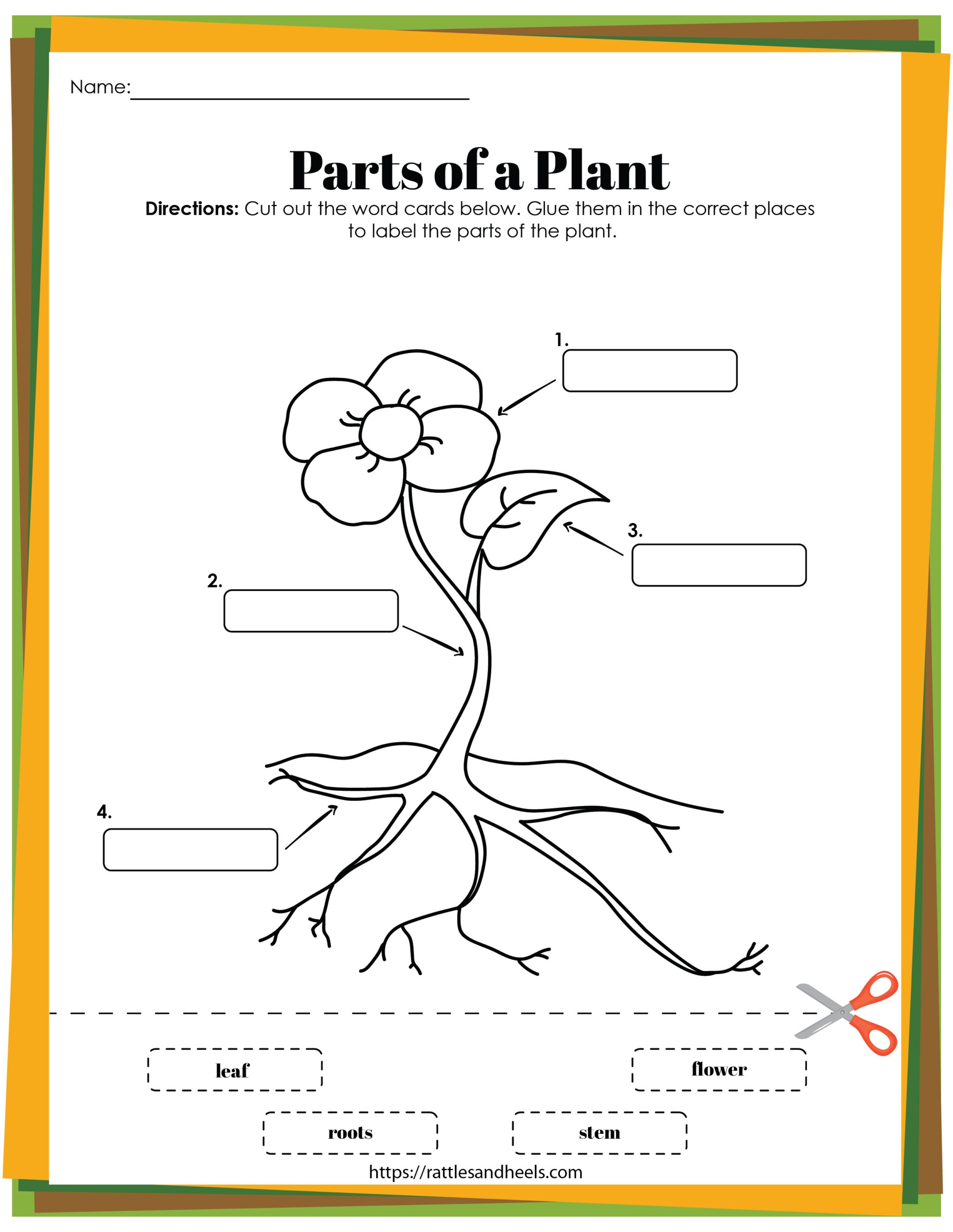 Free Flower Diagram Worksheet Worksheet Printables