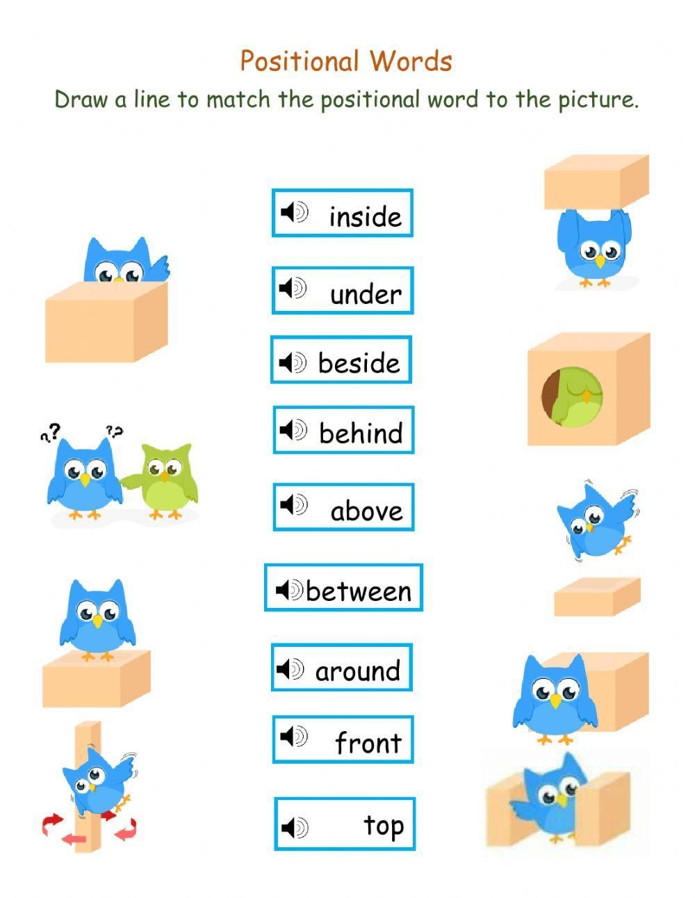 Math Positional Words Worksheets Kindergarten Math Positional Words Worksheets Kindergarten