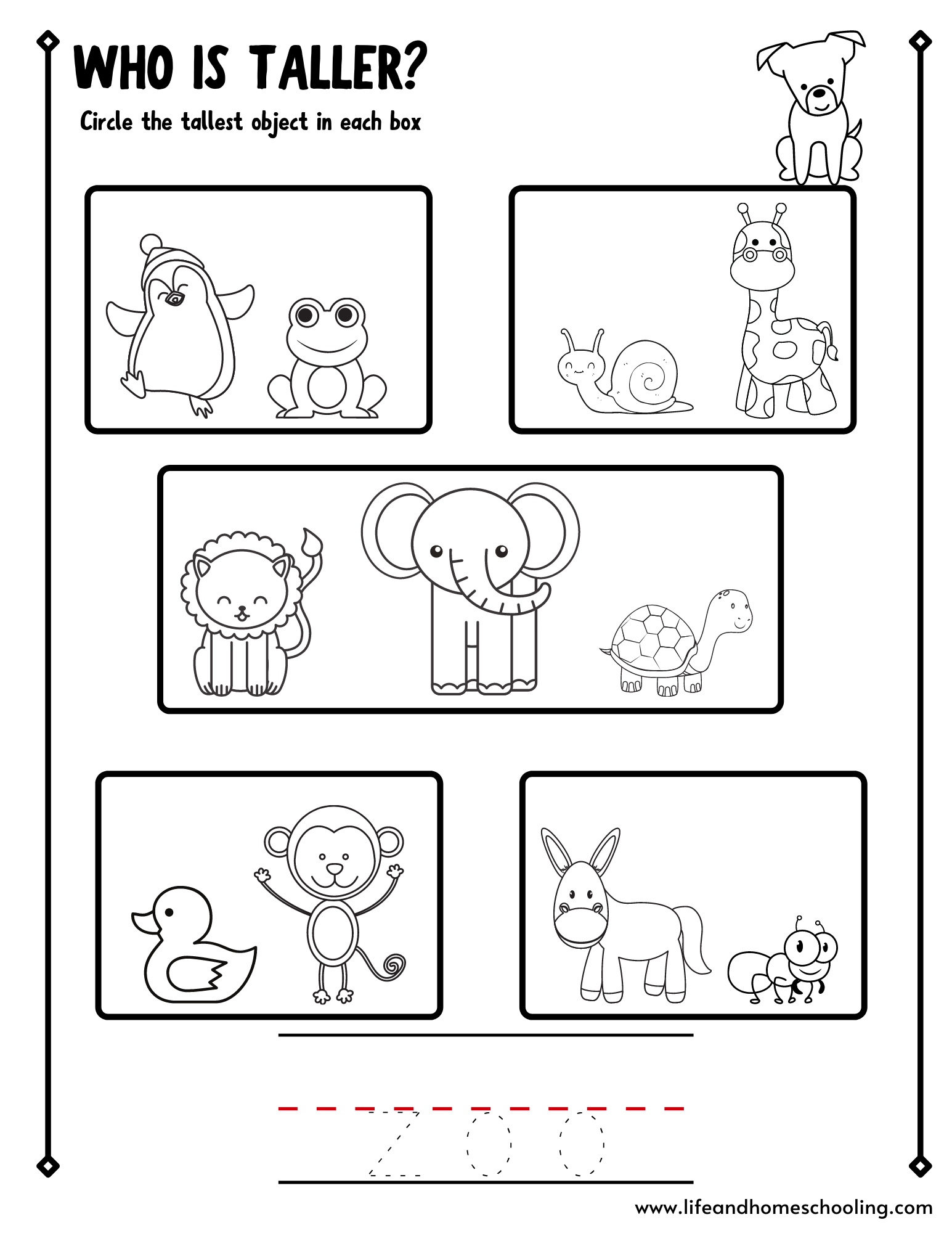 Preschool Math Tall Short Made By Teachers Preschool Math Tall Short Made By Teachers