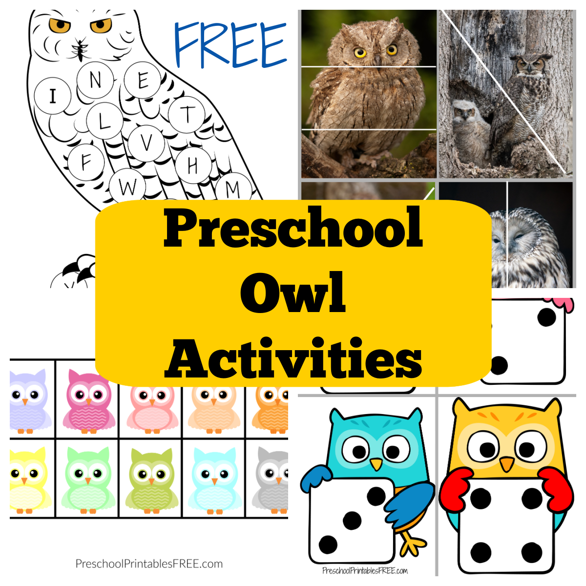 Preschool Owl Activities free Printable Free Preschool Printables Preschool Owl Activities free Printable Free Preschool Printables