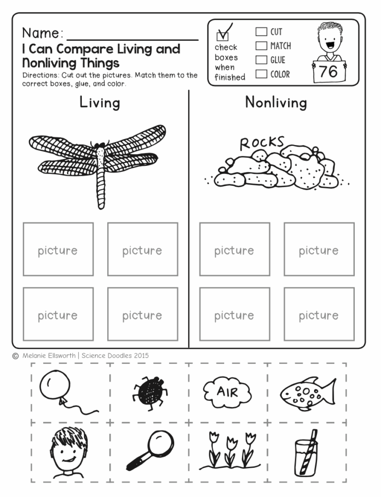 Science Worksheets For Kindergarten Free Printables Worksheets Library