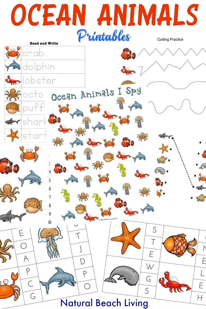 The Best Ocean Animals Preschool Activities And Printables The Best Ocean Animals Preschool Activities And Printables