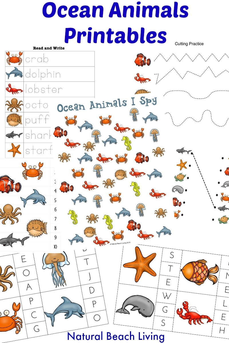 The Best Ocean Animals Preschool Activities And Printables
