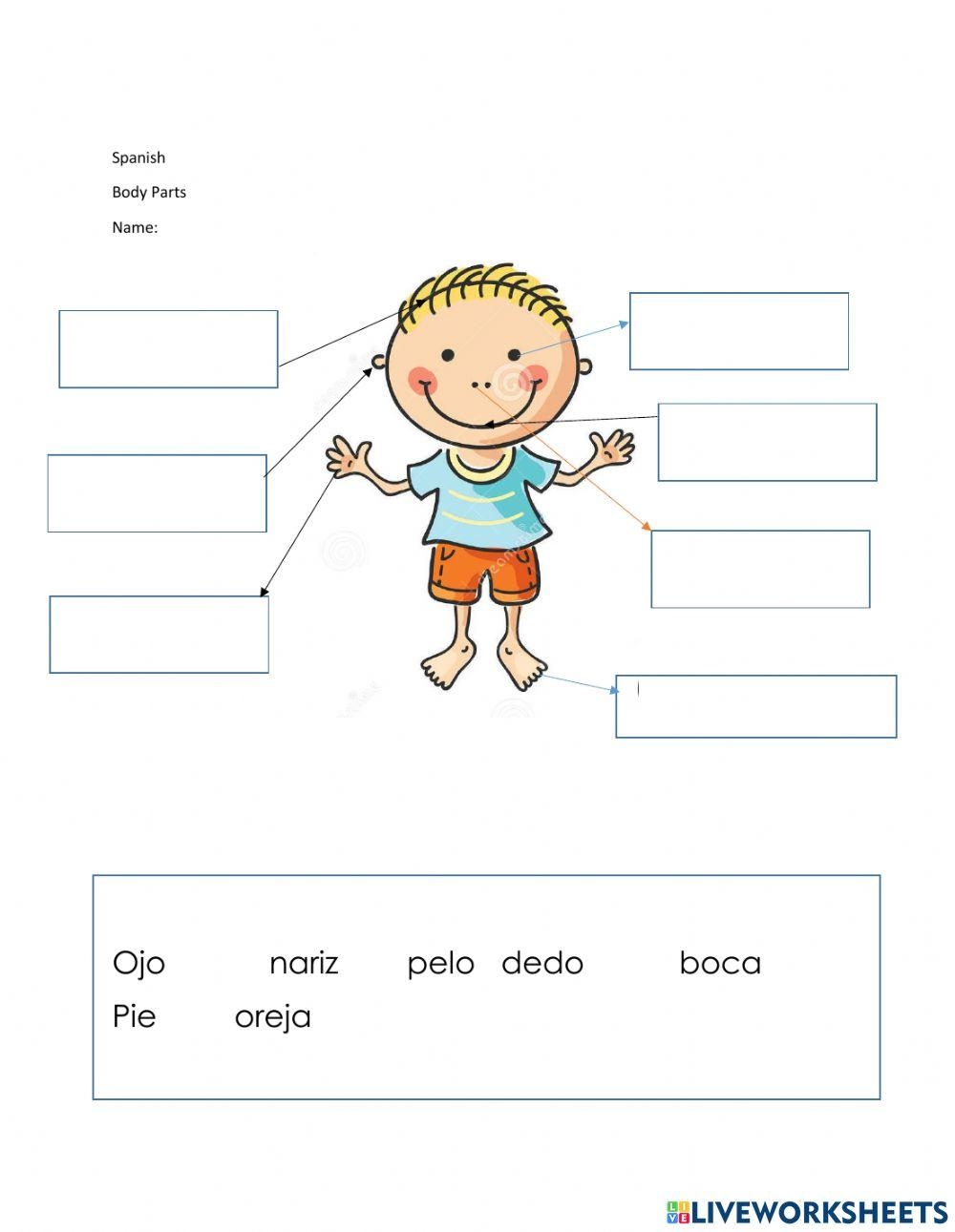 Free Printable Spanish Worksheets Body Parts
