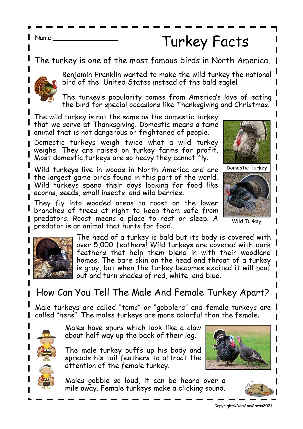 Factual Reading Comprehension Worksheets