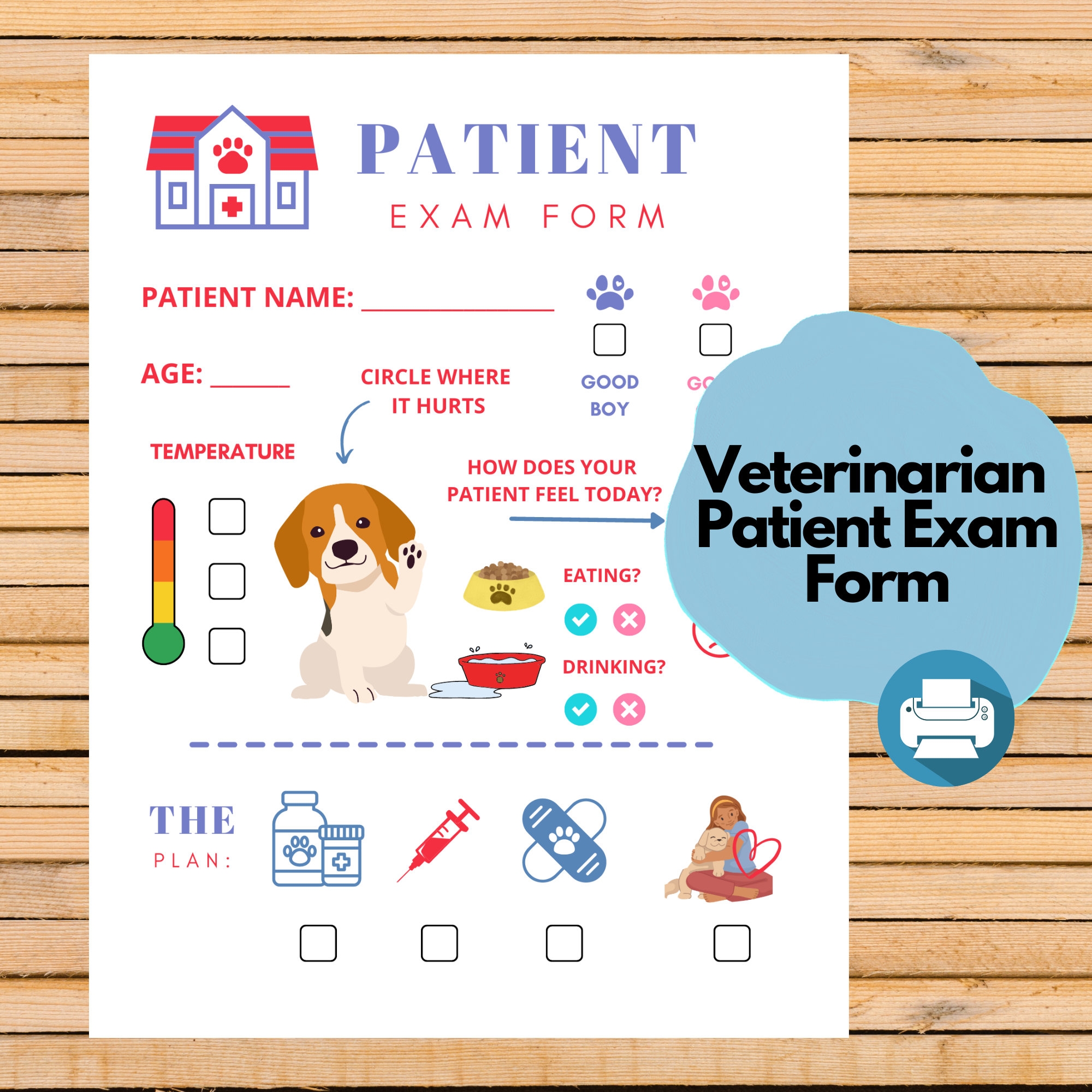Veterinarian Pretend Play Digital File Preschool Printables Dress Up Pet Checkup Kids Downloads Pre k Homeschool Montessori PDF Etsy