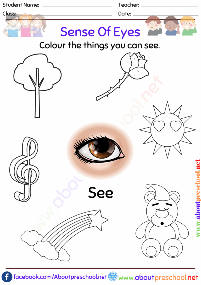 What Are The 5 Senses See About Preschool