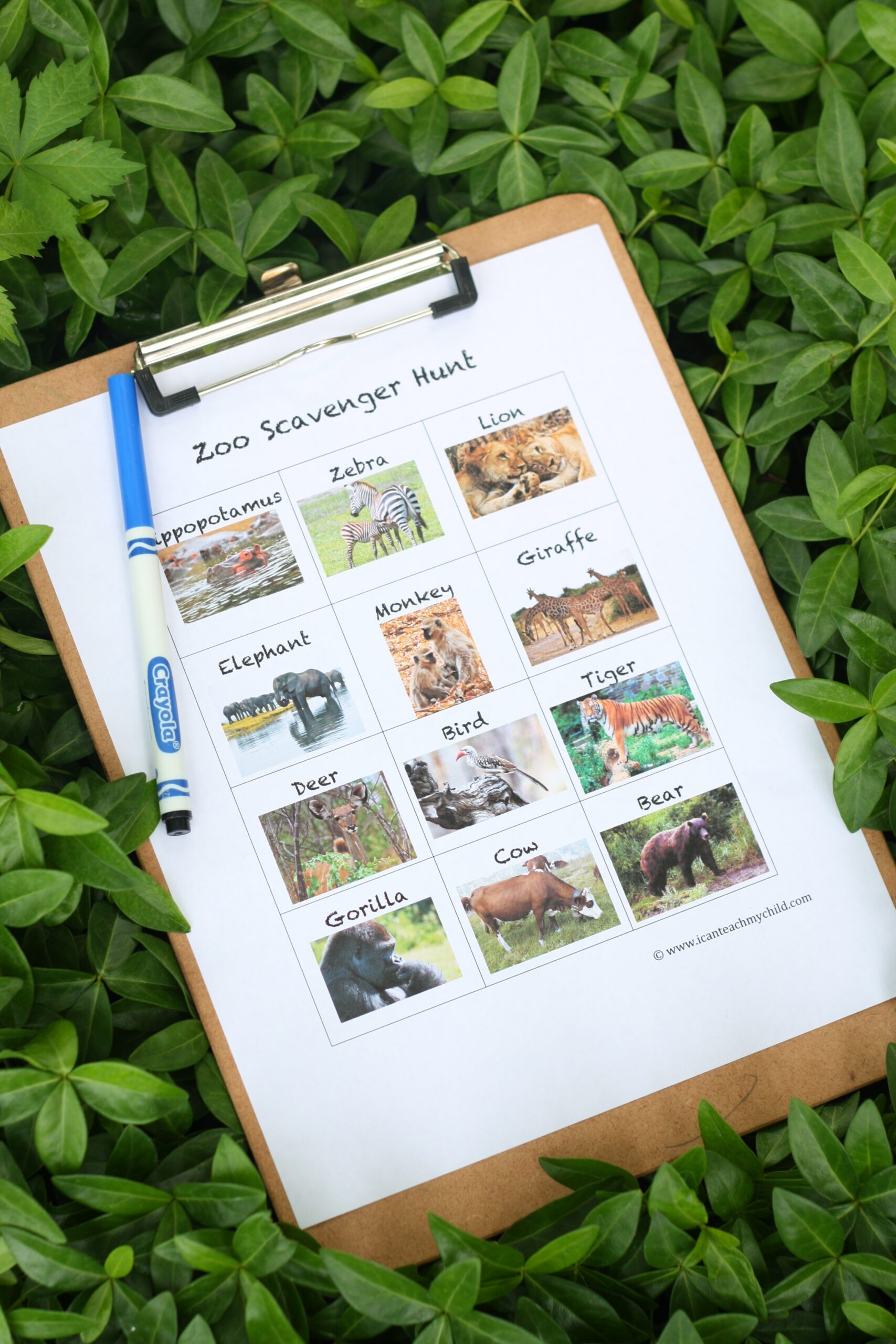 Preschool Zoo Scavenger Hunt Printable
