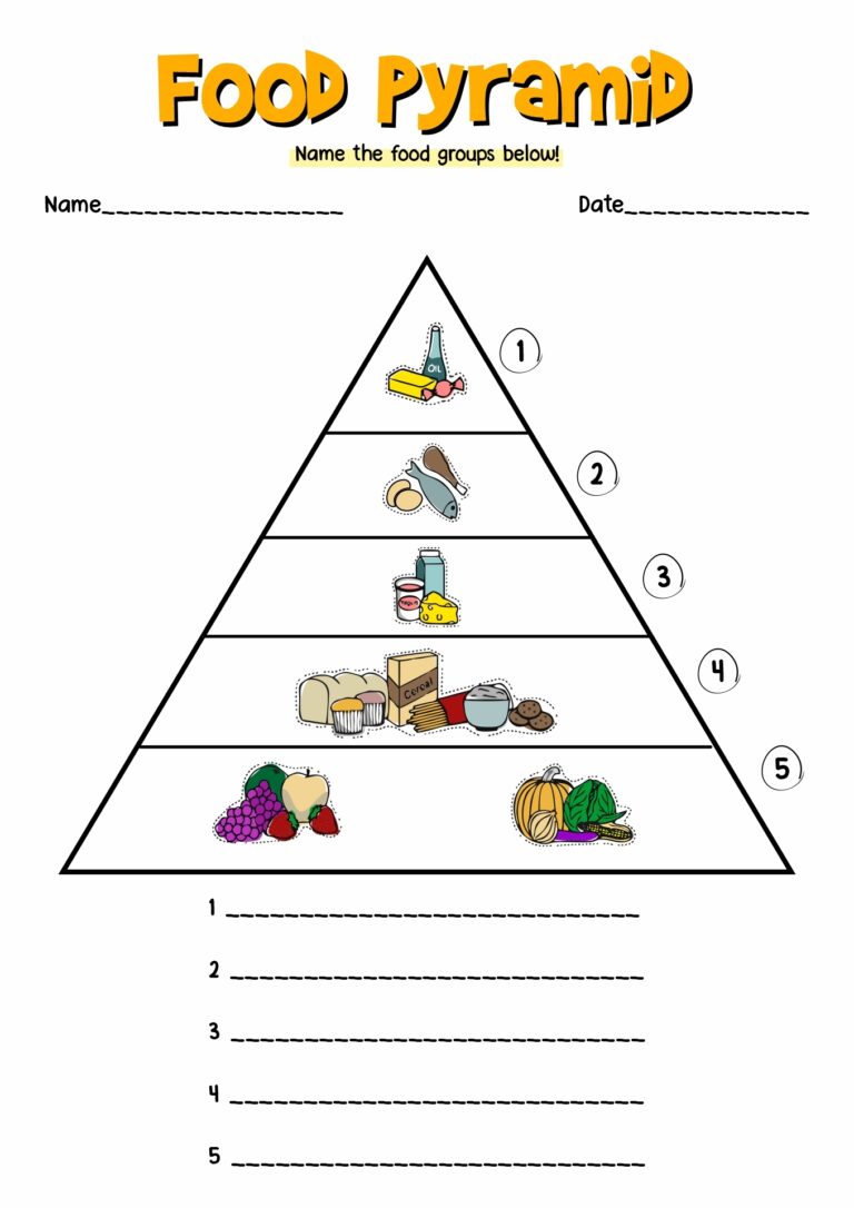 15 5 Food Groups Worksheet Free PDF At Worksheeto